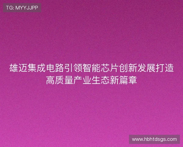 雄迈集成电路引领智能芯片创新发展打造高质量产业生态新篇章